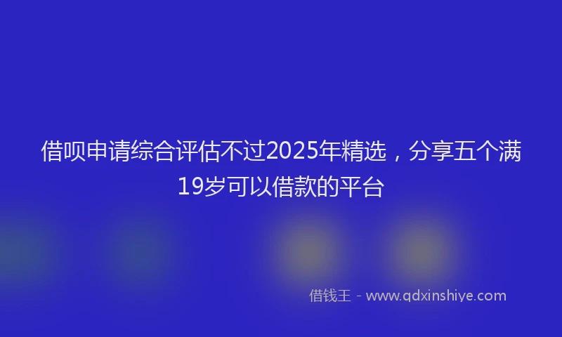 借呗申请综合评估不过2025年精选，分享五个满19岁可以借款的平台