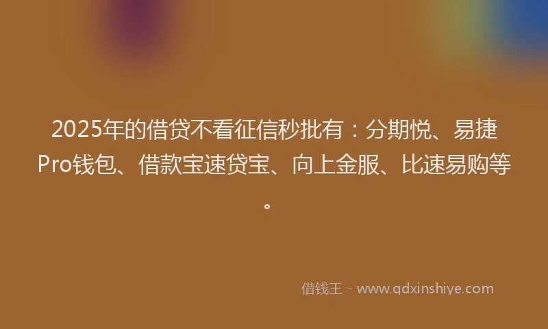 2025年的借贷不看征信秒批有：分期悦、易捷Pro钱包、借款宝速贷宝、向上金服、比速易购等。