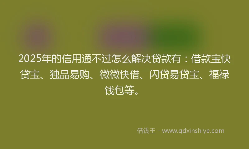 2025年的信用通不过怎么解决贷款有：借款宝快贷宝、独品易购、微微快借、闪贷易贷宝、福禄钱包等。