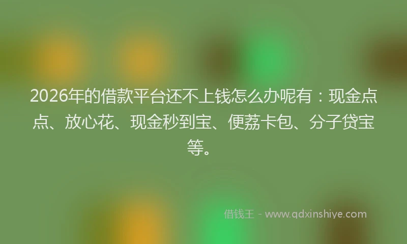 2026年的借款平台还不上钱怎么办呢有：现金点点、放心花、现金秒到宝、便荔卡包、分子贷宝等。
