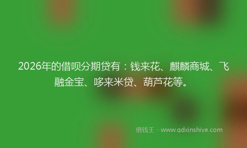2026年的借呗分期贷有：钱来花、麒麟商城、飞融金宝、哆来米贷、葫芦花等。