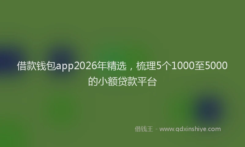 借款钱包app2026年精选,梳理5个1000至5000的小额贷款平台