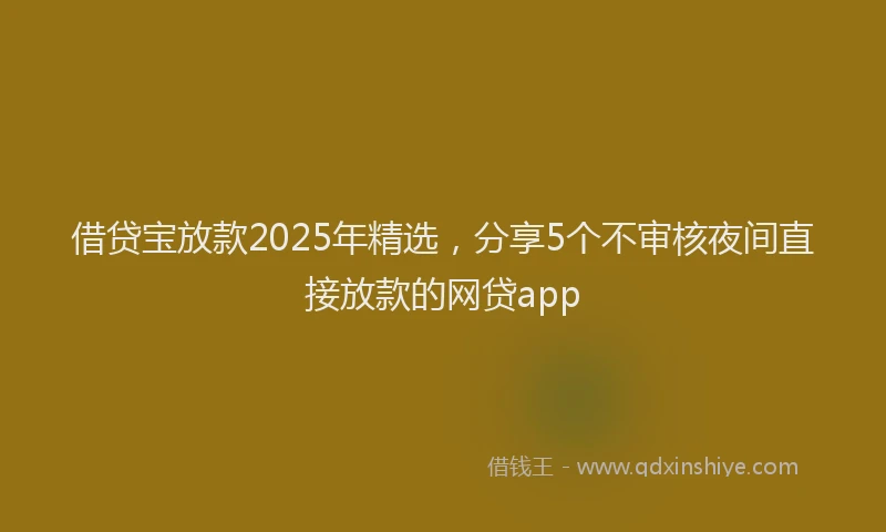 借贷宝放款2025年精选,分享5个不审核夜间直接放款的网贷app