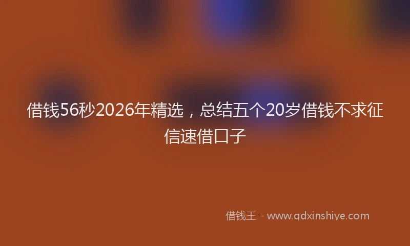 借钱56秒2026年精选,总结五个20岁借钱不求征信速借口子