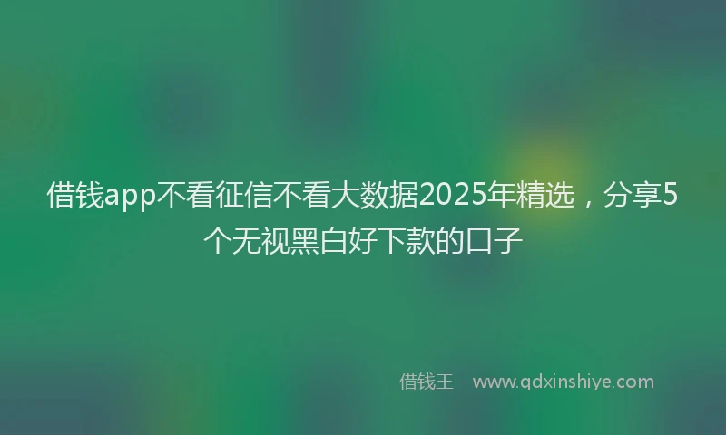 借钱app不看征信不看大数据2025年精选，分享5个无视黑白好下款的口子