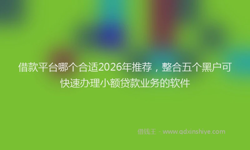 借款平台哪个合适2026年推荐，整合五个黑户可快速办理小额贷款业务的软件