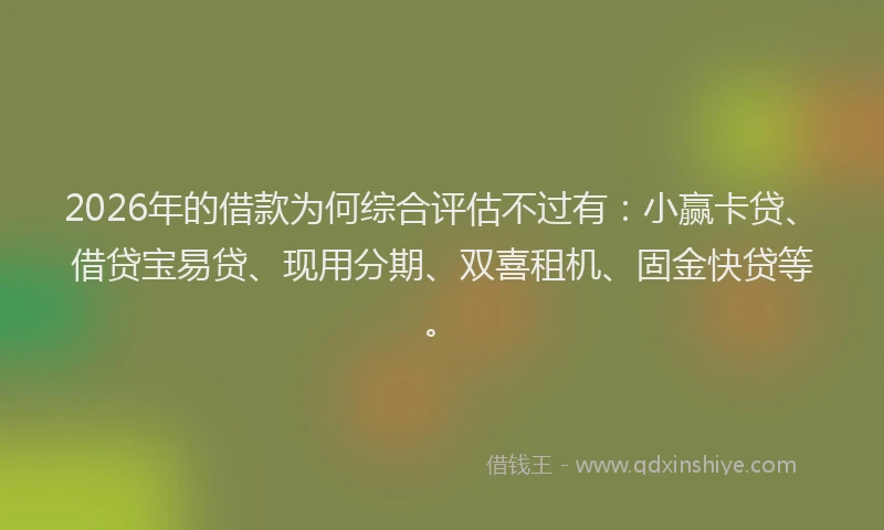 2026年的借款为何综合评估不过有：小赢卡贷、借贷宝易贷、现用分期、双喜租机、固金快贷等。