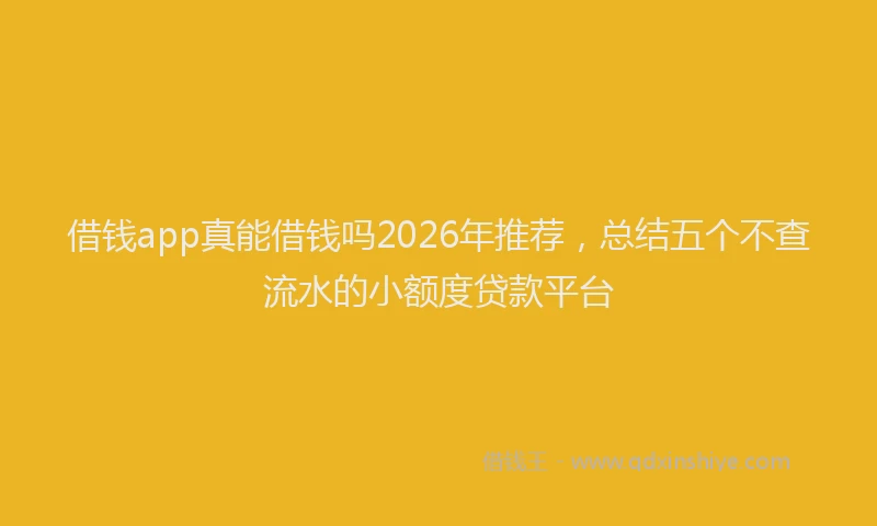 借钱app真能借钱吗2026年推荐,总结五个不查流水的小额度贷款平台