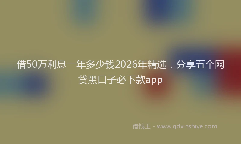 借50万利息一年多少钱2026年精选，分享五个网贷黑口子必下款app