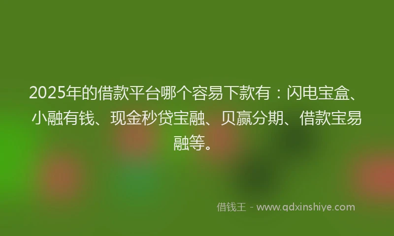 2025年的借款平台哪个容易下款有：闪电宝盒、小融有钱、现金秒贷宝融、贝赢分期、借款宝易融等。