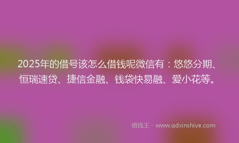 2025年的借号该怎么借钱呢微信有：悠悠分期、恒瑞速贷、捷信金融、钱袋快易融、爱小花等。