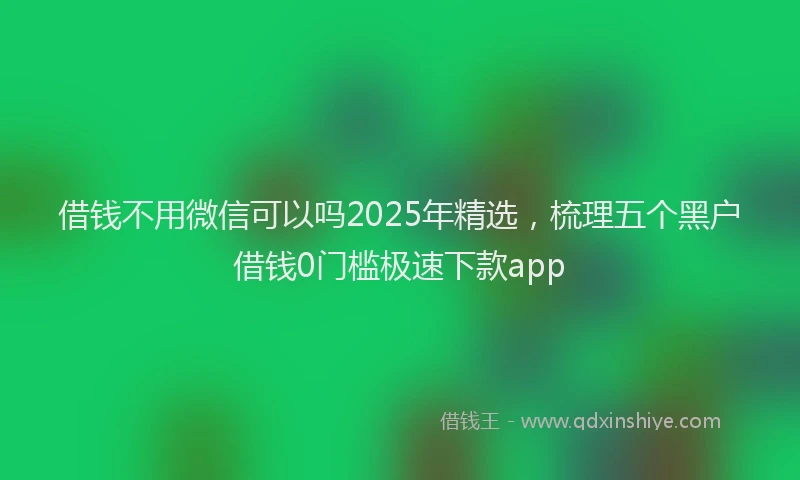 借钱不用微信可以吗2025年精选，梳理五个黑户借钱0门槛极速下款app