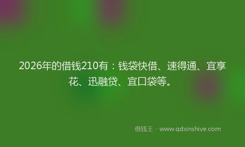 2026年的借钱210有：钱袋快借、速得通、宜享花、迅融贷、宜口袋等。