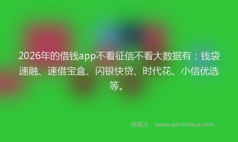 2026年的借钱app不看征信不看大数据有：钱袋速融、速借宝盒、闪银快贷、时代花、小信优选等。