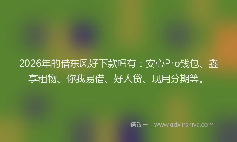 2026年的借东风好下款吗有：安心Pro钱包、鑫享租物、你我易借、好人贷、现用分期等。