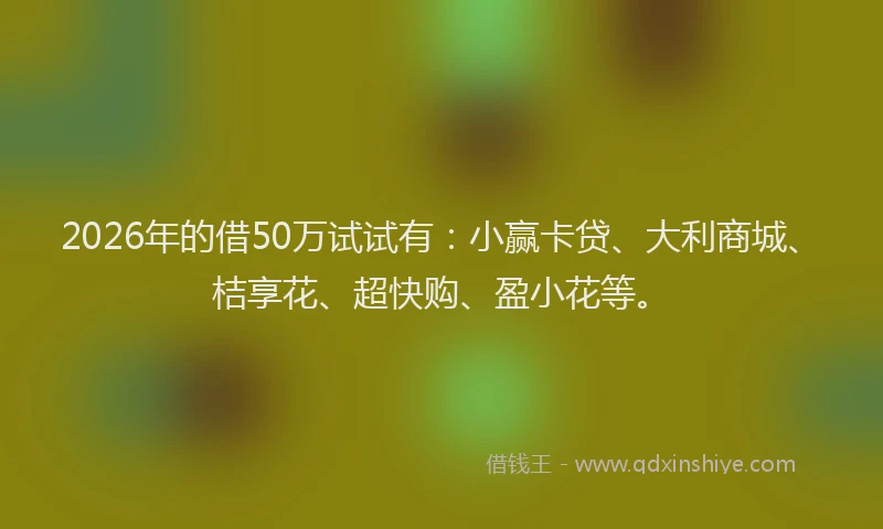 2026年的借50万试试有：小赢卡贷、大利商城、桔享花、超快购、盈小花等。