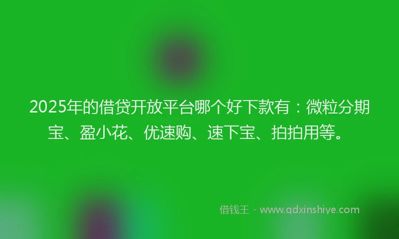 2025年的借贷开放平台哪个好下款有:微粒分期宝、盈小花、优速购、速下宝、拍拍用等。