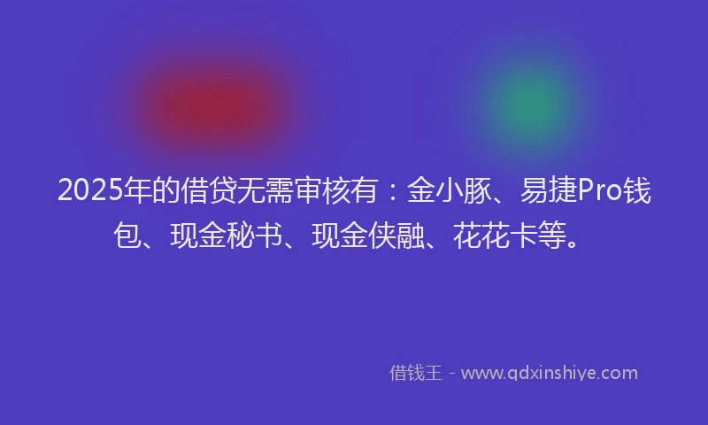 2025年的借贷无需审核有：金小豚、易捷Pro钱包、现金秘书、现金侠融、花花卡等。