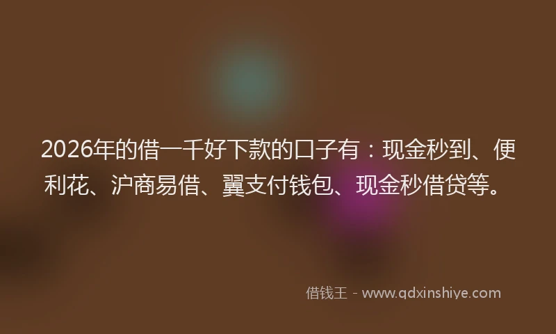 2026年的借一千好下款的口子有：现金秒到、便利花、沪商易借、翼支付钱包、现金秒借贷等。