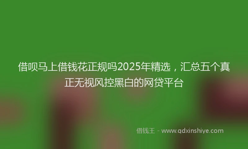 借呗马上借钱花正规吗2025年精选，汇总五个真正无视风控黑白的网贷平台