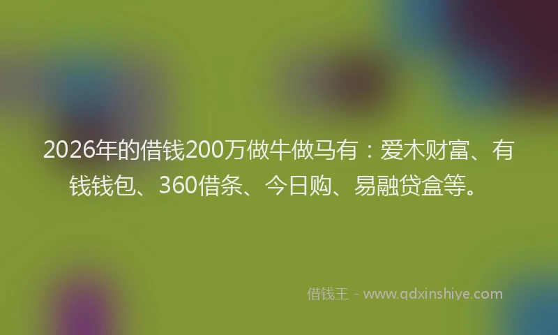 2026年的借钱200万做牛做马有:爱木财富、有钱钱包、360借条、今日购、易融贷盒等。