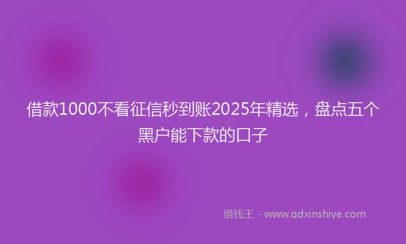 借款1000不看征信秒到账2025年精选,盘点五个黑户能下款的口子