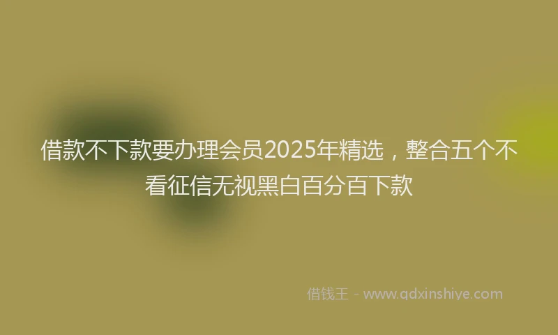借款不下款要办理会员2025年精选，整合五个不看征信无视黑白百分百下款