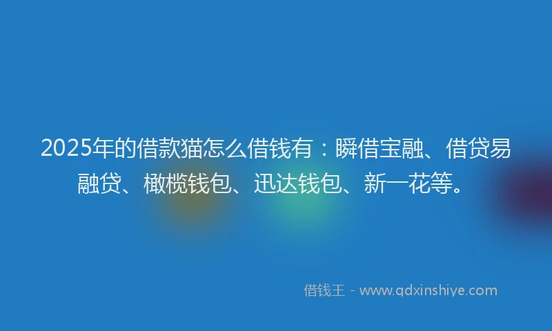2025年的借款猫怎么借钱有:瞬借宝融、借贷易融贷、橄榄钱包、迅达钱包、新一花等。