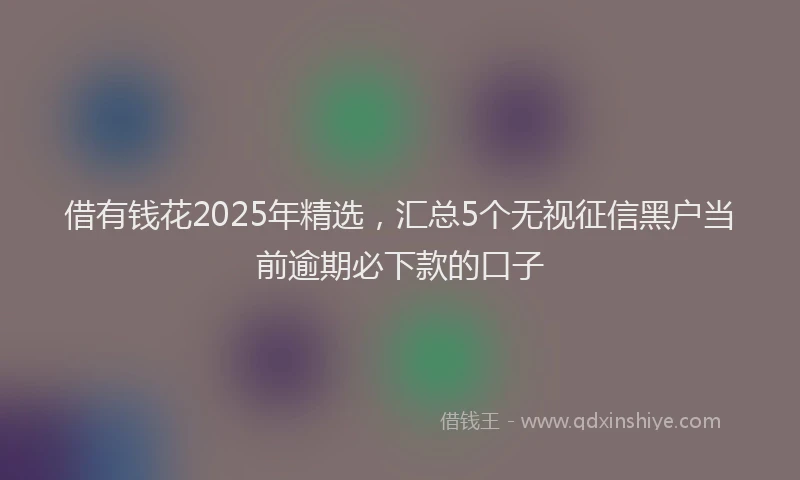 借有钱花2025年精选，汇总5个无视征信黑户当前逾期必下款的口子