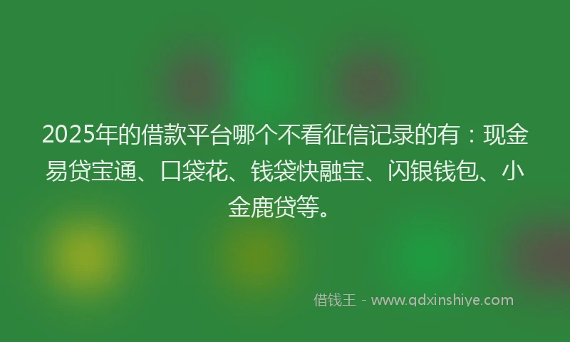 2025年的借款平台哪个不看征信记录的有：现金易贷宝通、口袋花、钱袋快融宝、闪银钱包、小金鹿贷等。
