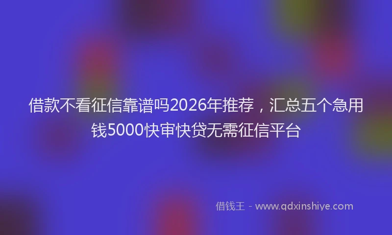 借款不看征信靠谱吗2026年推荐,汇总五个急用钱5000快审快贷无需征信平台