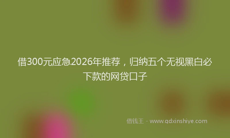 借300元应急2026年推荐，归纳五个无视黑白必下款的网贷口子