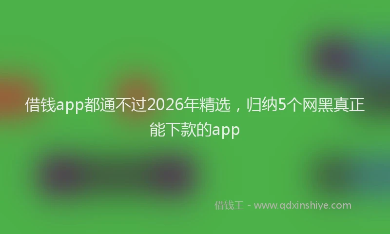 借钱app都通不过2026年精选，归纳5个网黑真正能下款的app