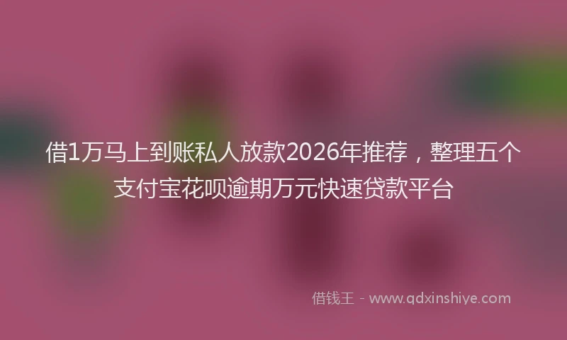 借1万马上到账私人放款2026年推荐，整理五个支付宝花呗逾期万元快速贷款平台