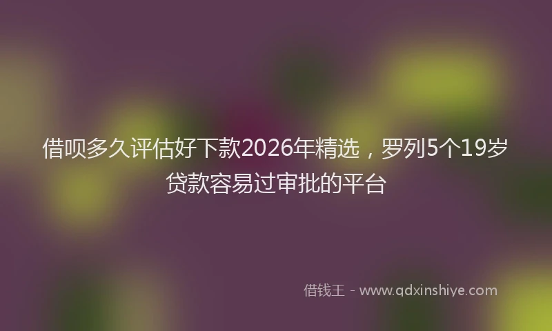 借呗多久评估好下款2026年精选,罗列5个19岁贷款容易过审批的平台