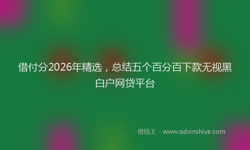 借付分2026年精选，总结五个百分百下款无视黑白户网贷平台