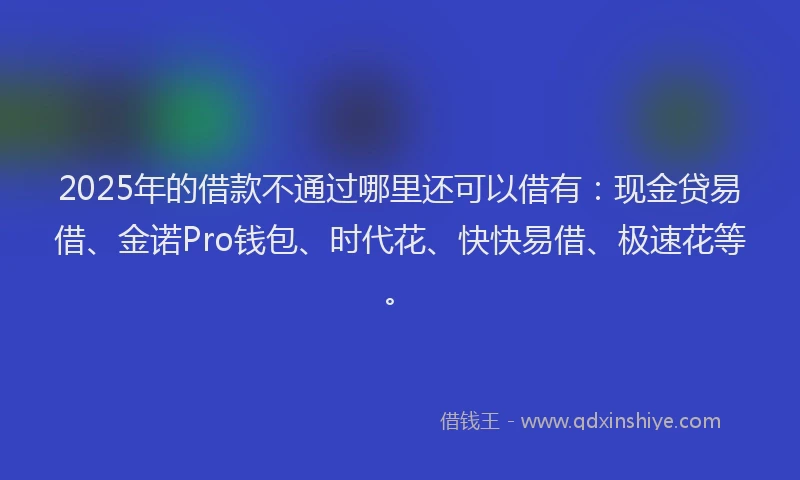 2025年的借款不通过哪里还可以借有:现金贷易借、金诺Pro钱包、时代花、快快易借、极速花等。