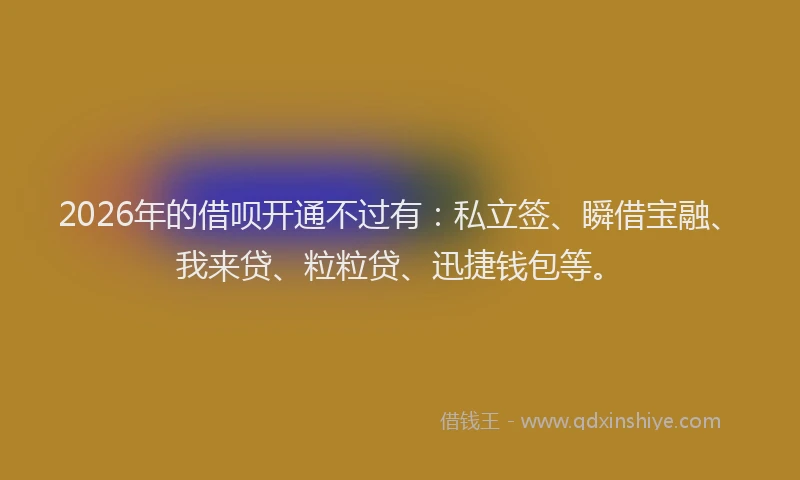 2026年的借呗开通不过有:私立签、瞬借宝融、我来贷、粒粒贷、迅捷钱包等。