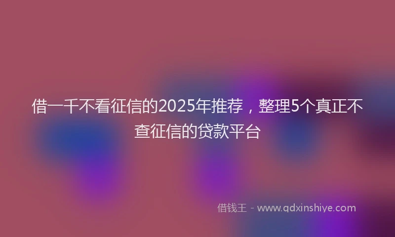 借一千不看征信的2025年推荐,整理5个真正不查征信的贷款平台