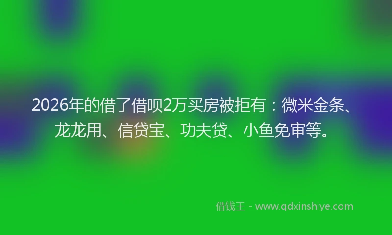 2026年的借了借呗2万买房被拒有：微米金条、龙龙用、信贷宝、功夫贷、小鱼免审等。
