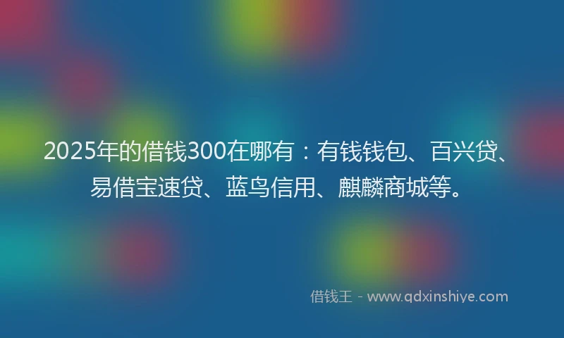 2025年的借钱300在哪有：有钱钱包、百兴贷、易借宝速贷、蓝鸟信用、麒麟商城等。