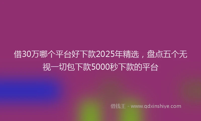 借30万哪个平台好下款2025年精选,盘点五个无视一切包下款5000秒下款的平台