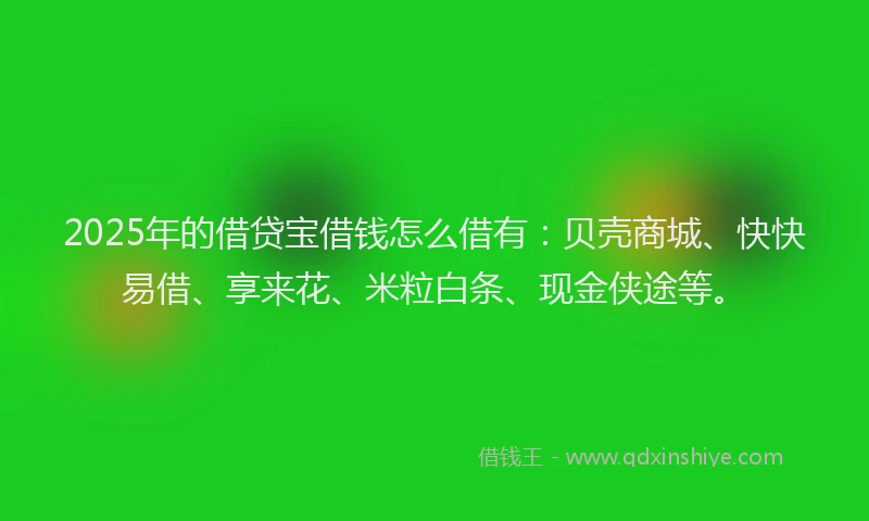 2025年的借贷宝借钱怎么借有：贝壳商城、快快易借、享来花、米粒白条、现金侠途等。