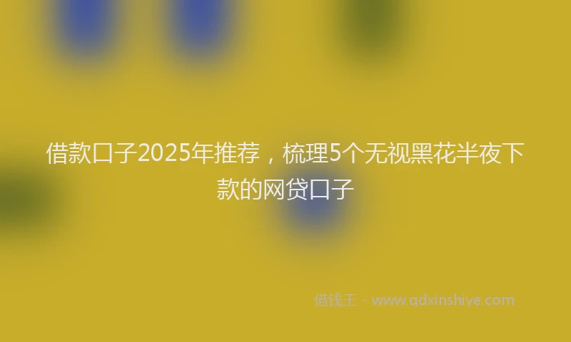 借款口子2025年推荐，梳理5个无视黑花半夜下款的网贷口子
