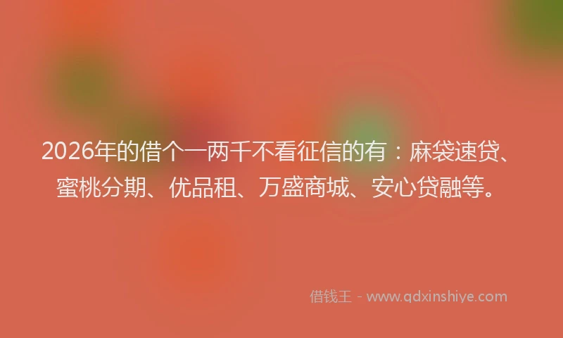 2026年的借个一两千不看征信的有：麻袋速贷、蜜桃分期、优品租、万盛商城、安心贷融等。