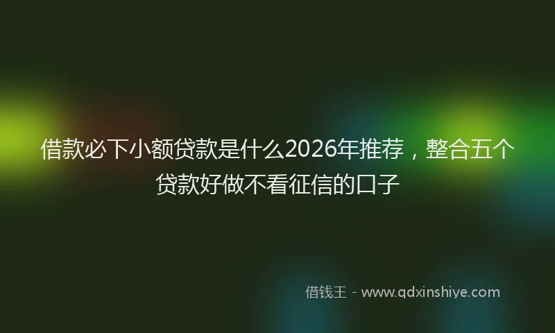 借款必下小额贷款是什么2026年推荐，整合五个贷款好做不看征信的口子