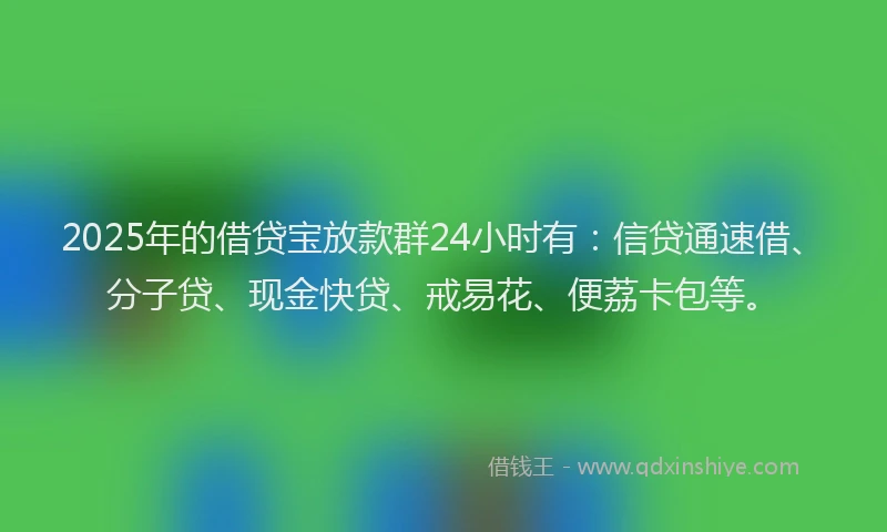 2025年的借贷宝放款群24小时有：信贷通速借、分子贷、现金快贷、戒易花、便荔卡包等。