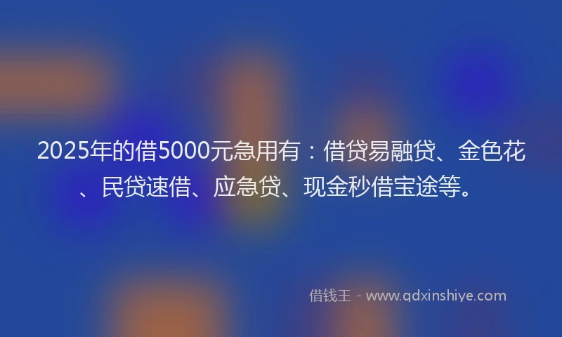 2025年的借5000元急用有:借贷易融贷、金色花、民贷速借、应急贷、现金秒借宝途等。
