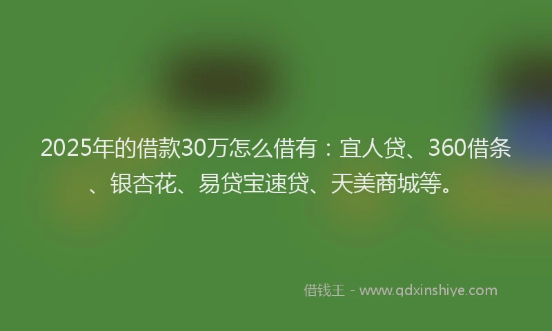 2025年的借款30万怎么借有：宜人贷、360借条、银杏花、易贷宝速贷、天美商城等。