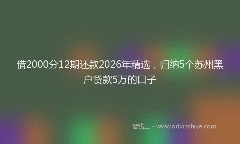 借2000分12期还款2026年精选,归纳5个苏州黑户贷款5万的口子